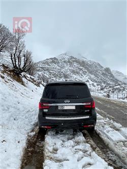 Infiniti QX80